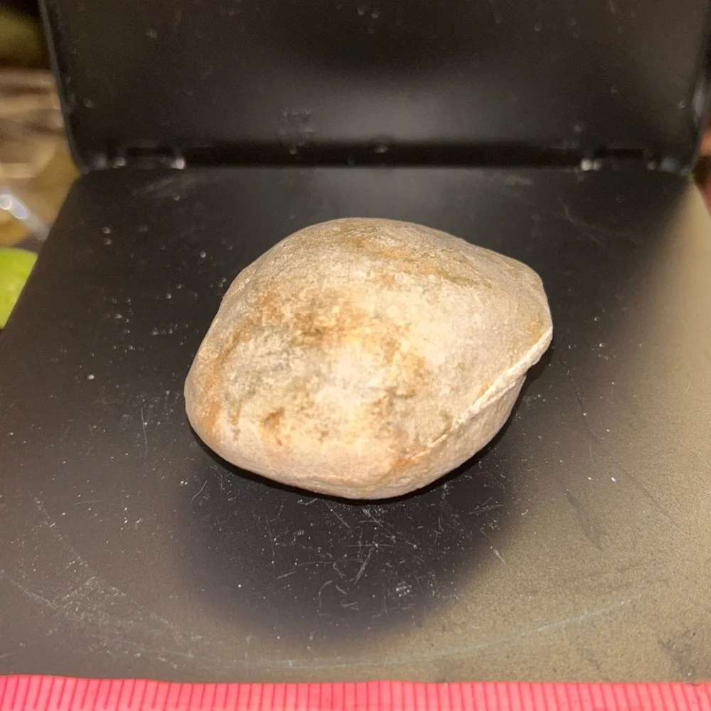 Natural Tan Reptile Habitat Rock